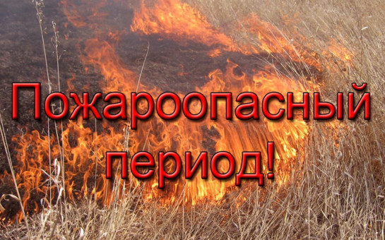 Об установлении начала пожароопасного сезона на территории Новосибирской области в 2025 году
